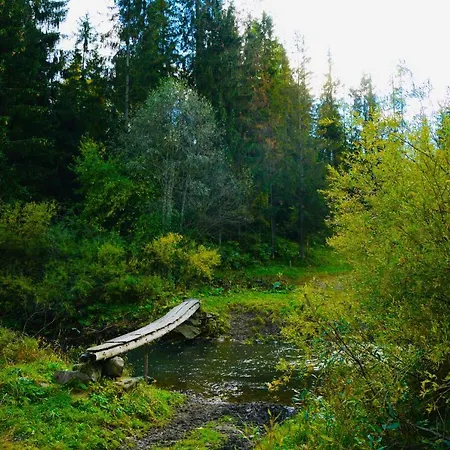 Ferienhaus Domek Przy Lasku